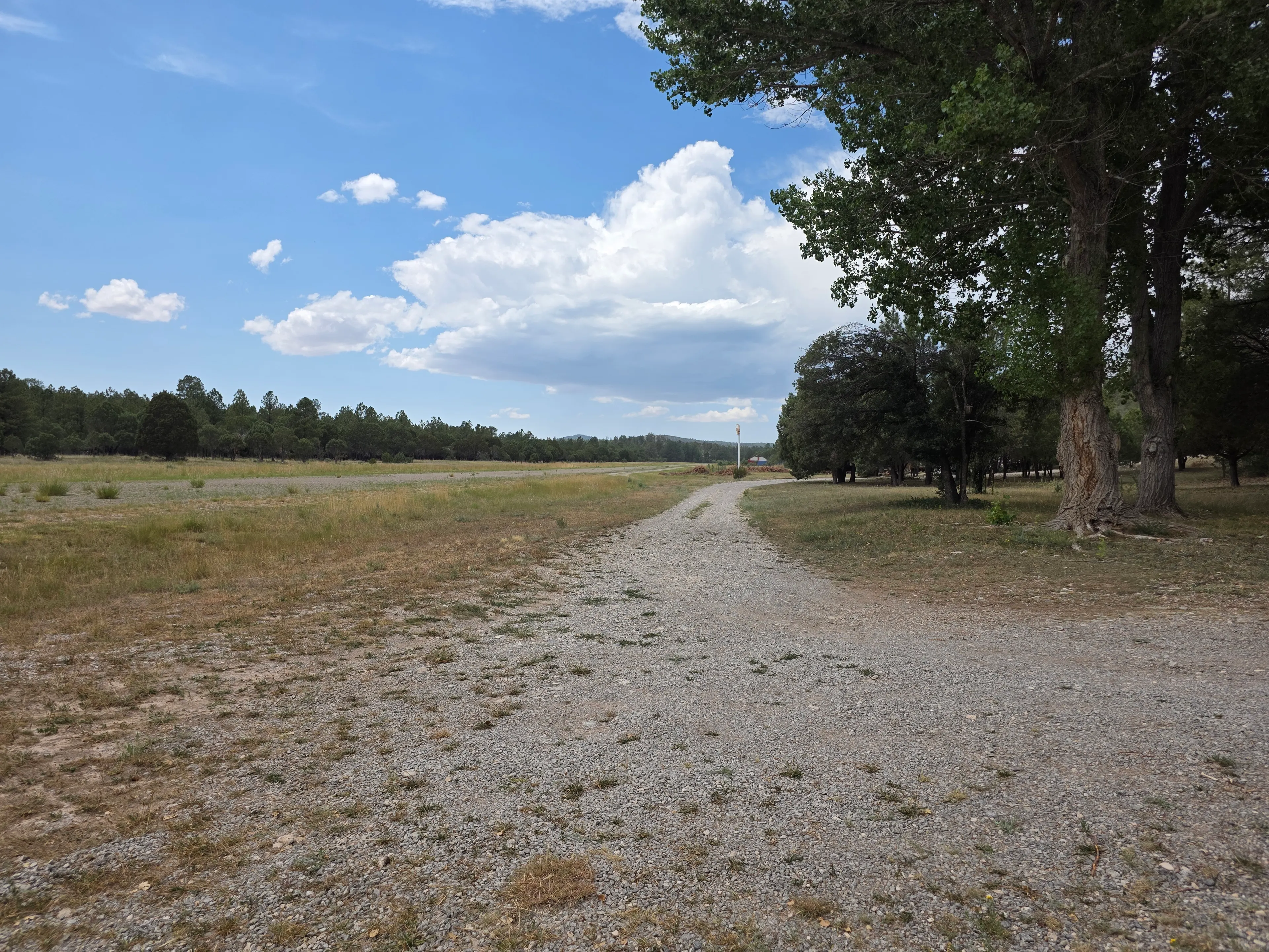 gravel drive through open meadow