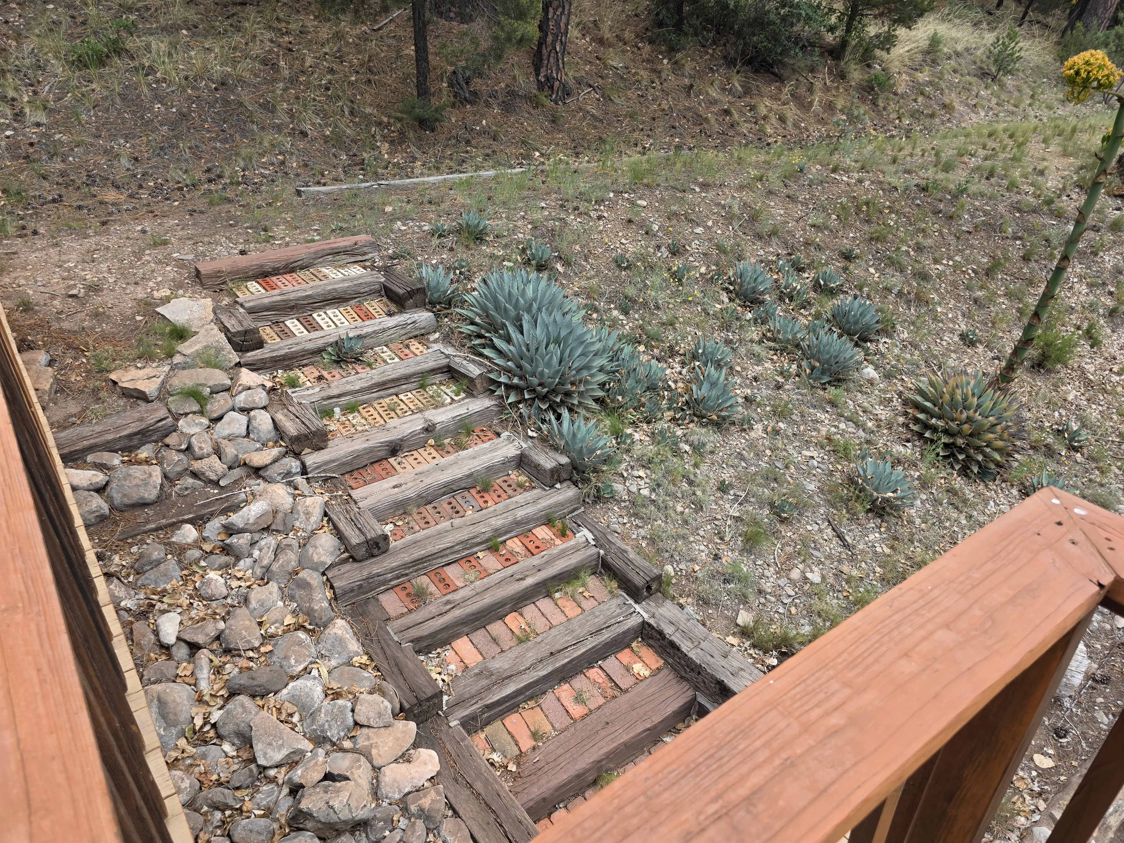 landscaped steps with agave