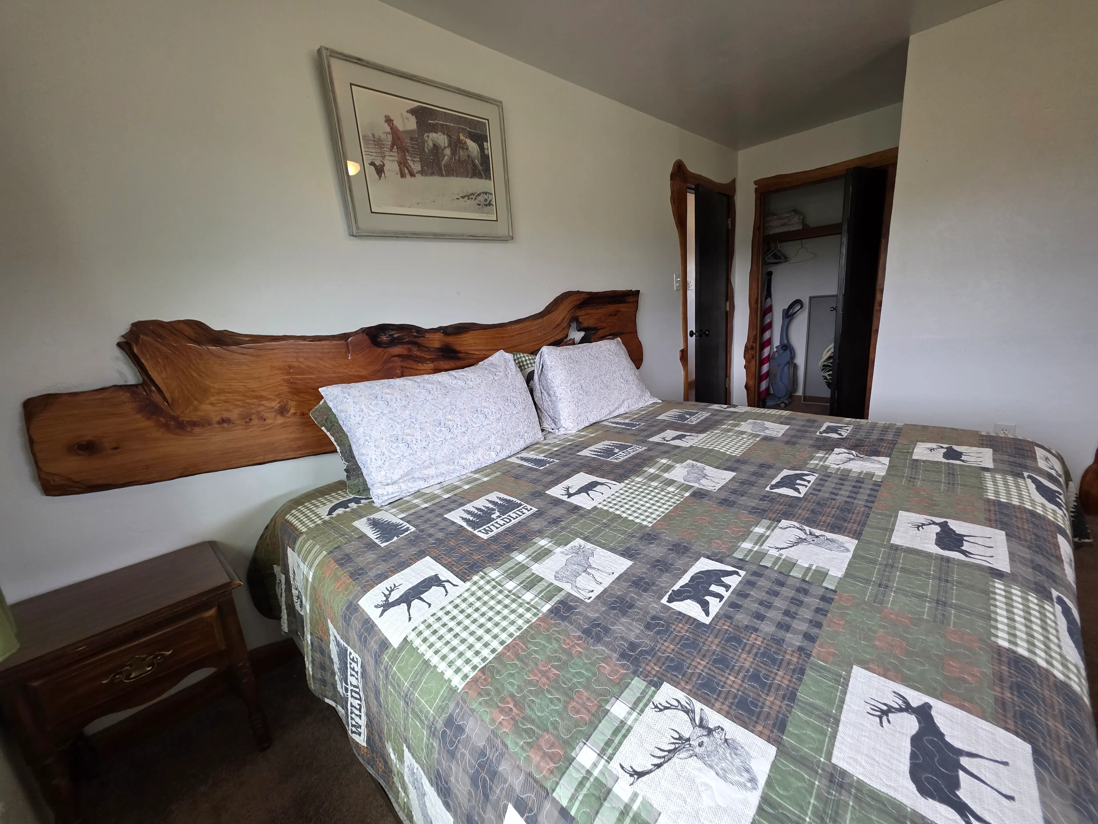 King bed, live-edge headboard, closet