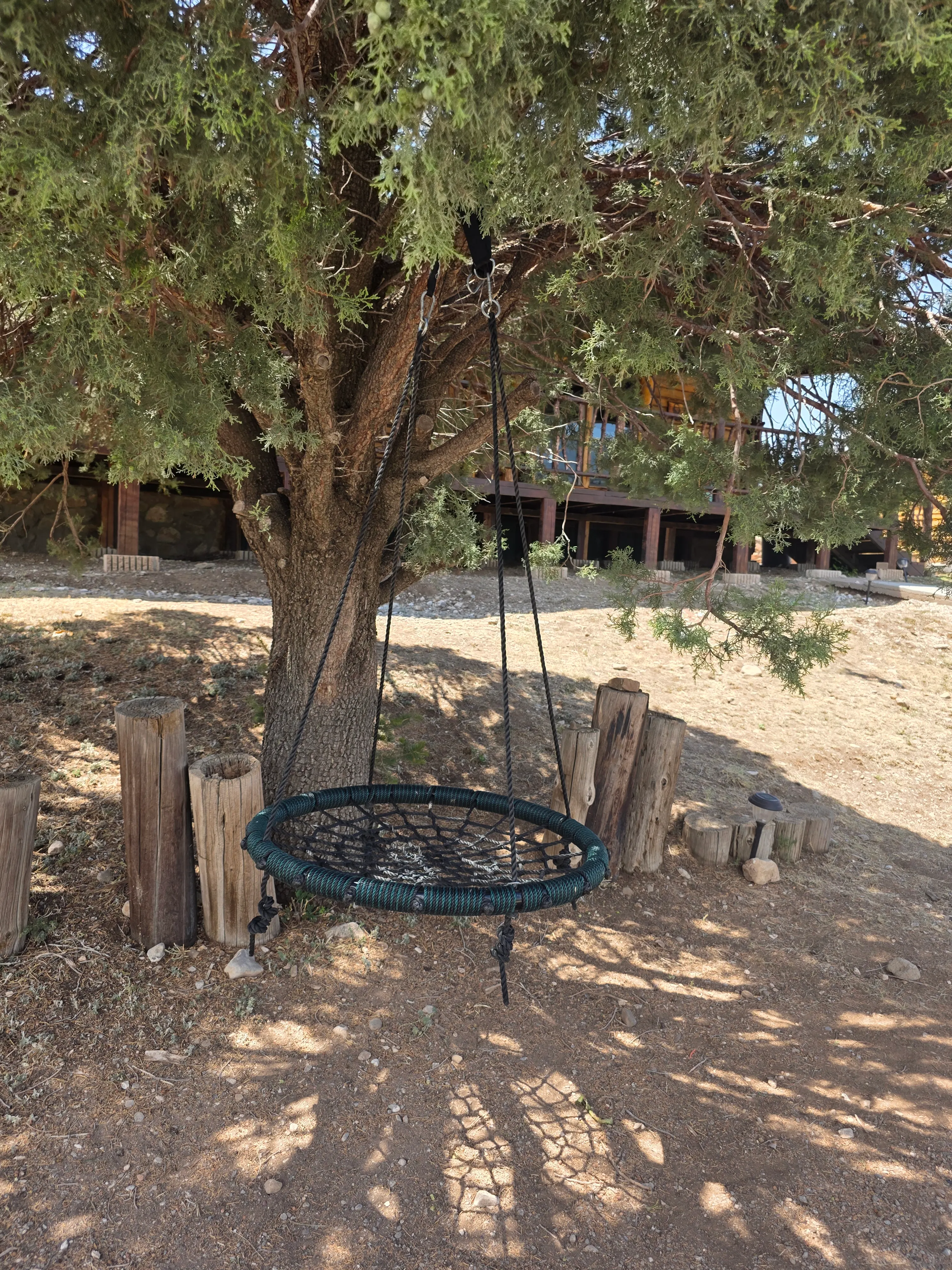 round net tree swing closeup
