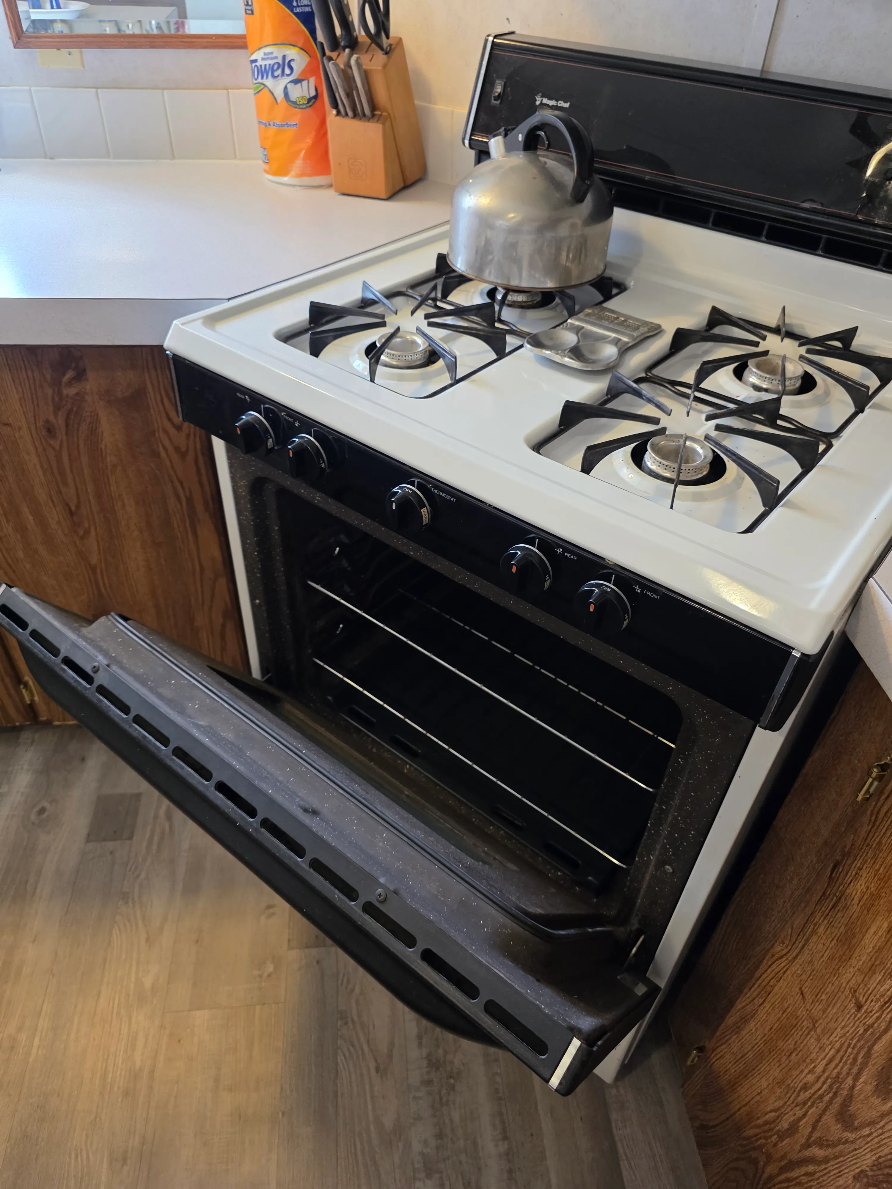 Gas range with oven open
