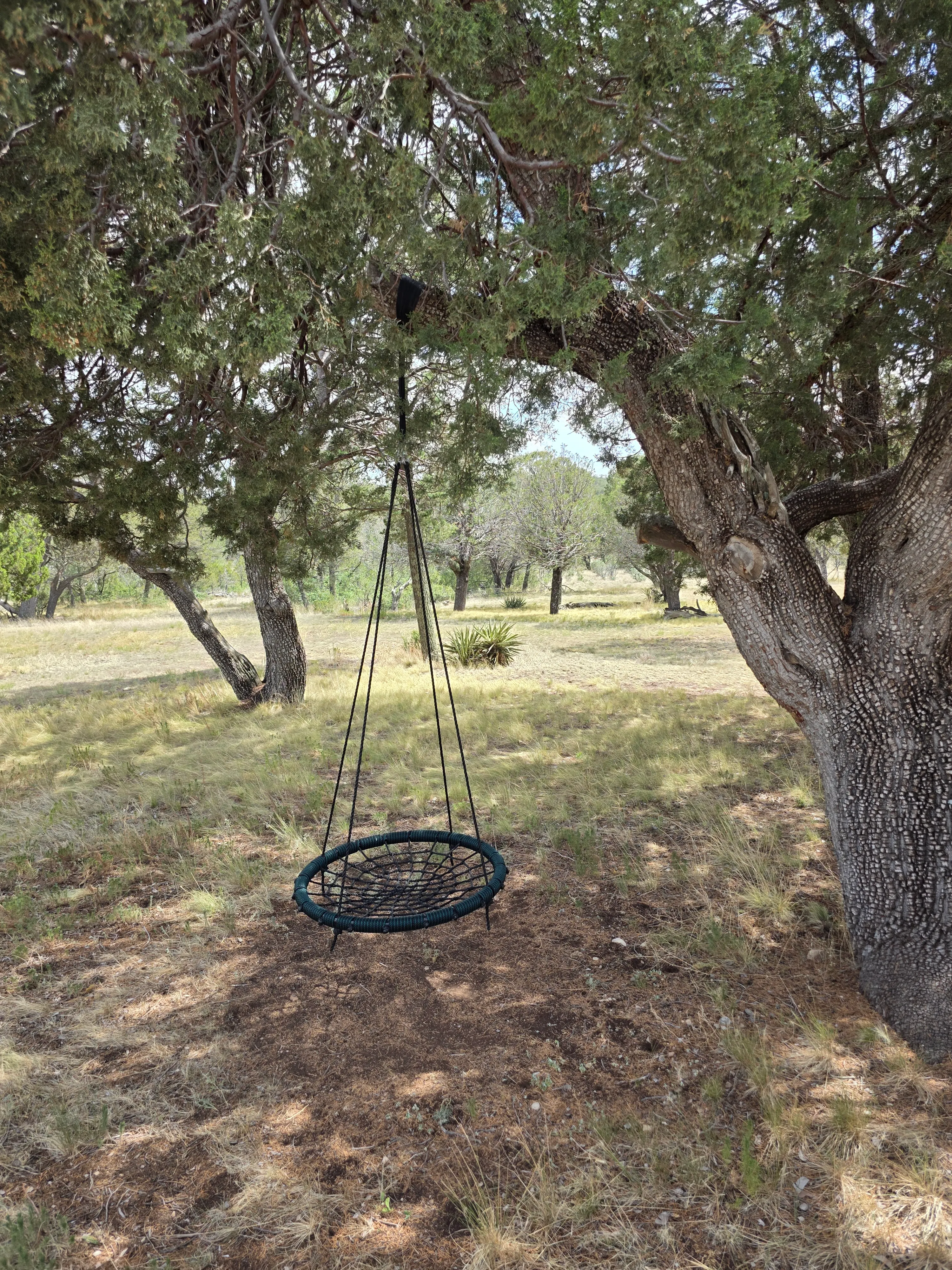 Round net swing under tree