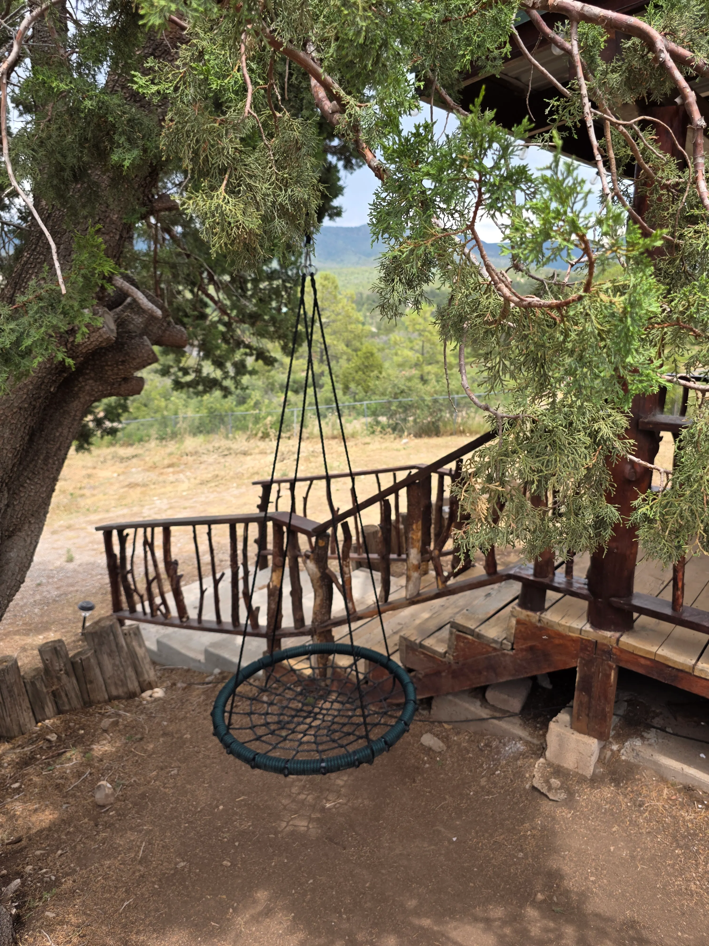 round rope tree swing