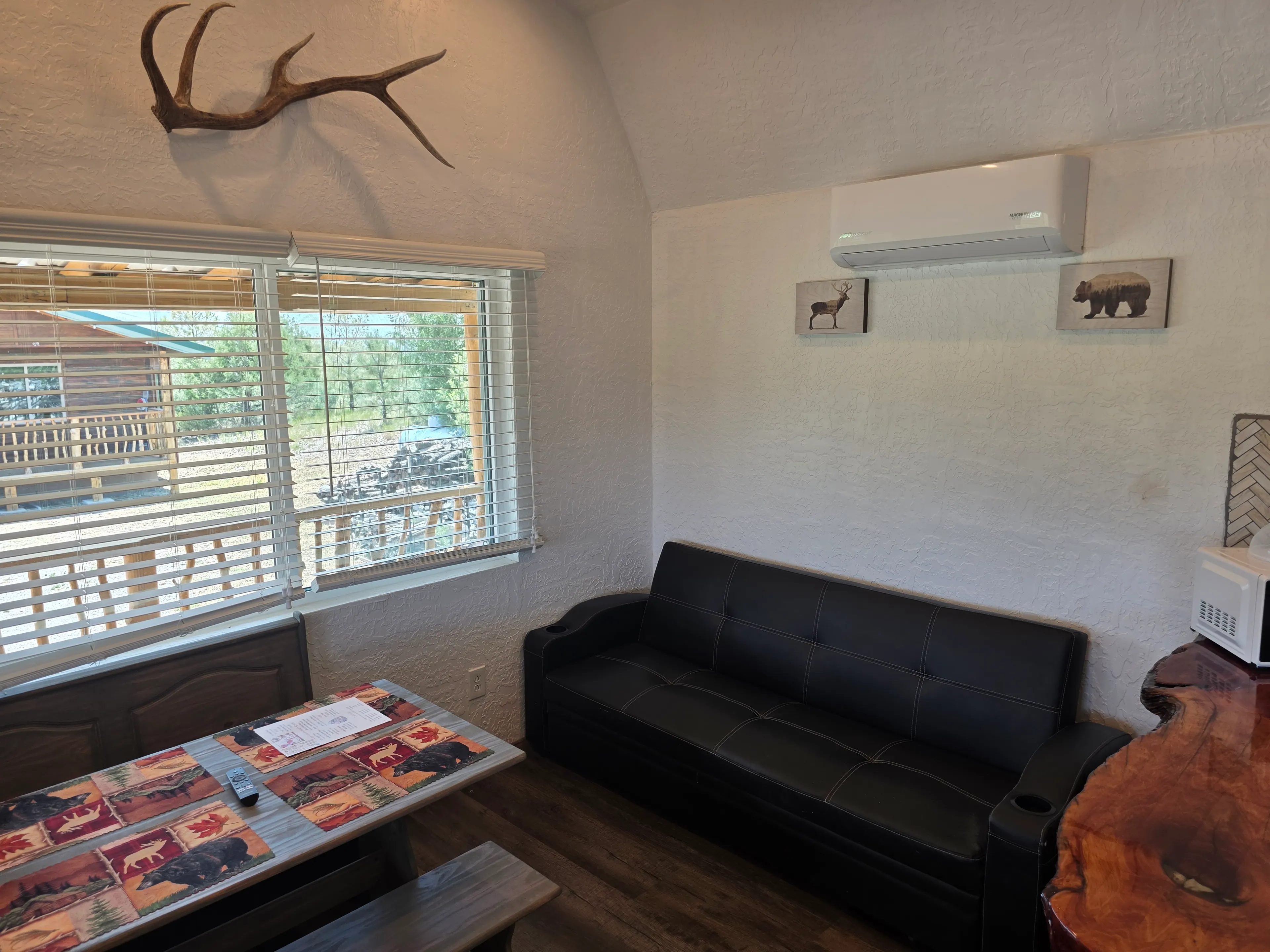 black futon sofa, mini split AC