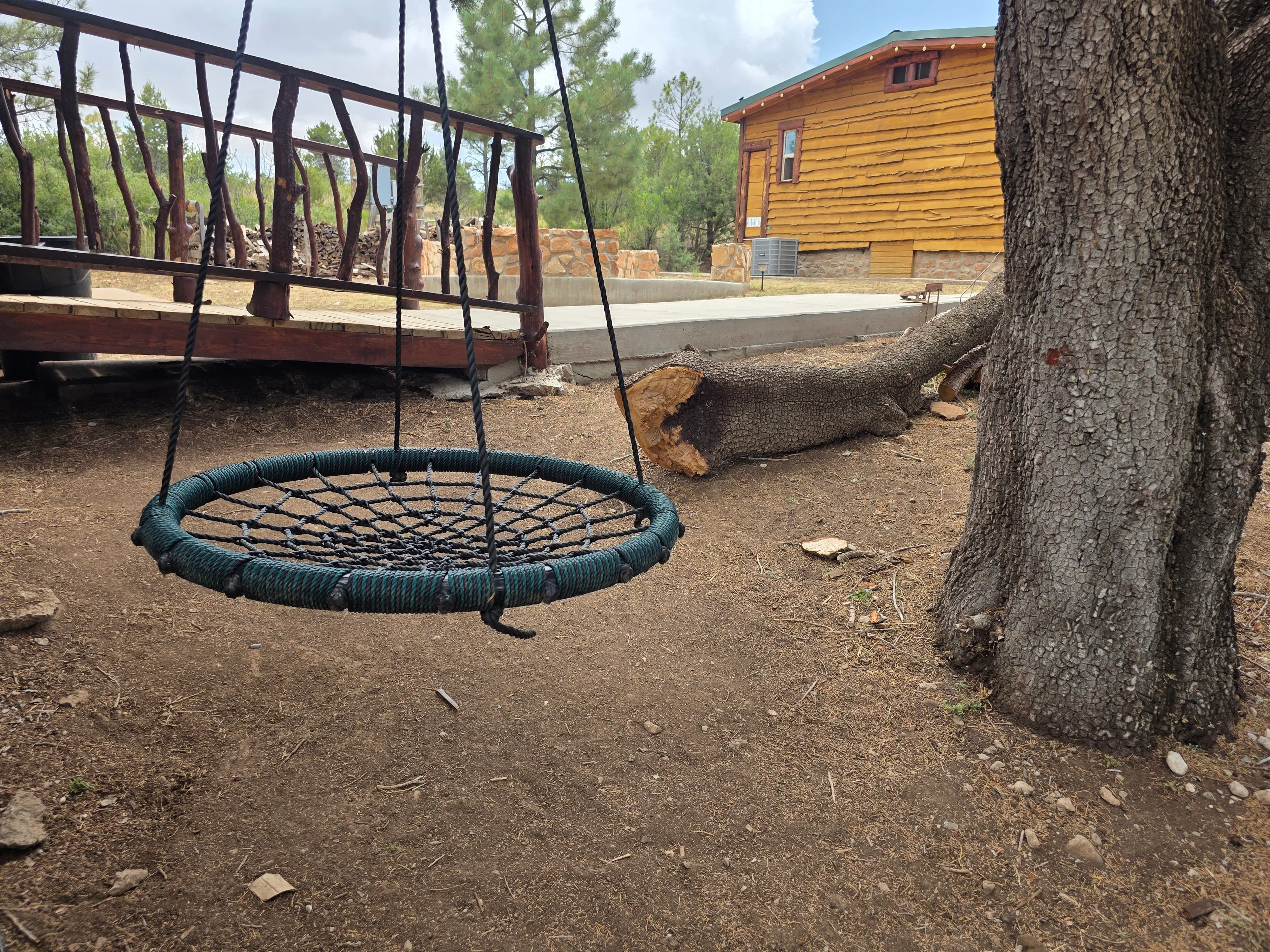 rope swing under big tree