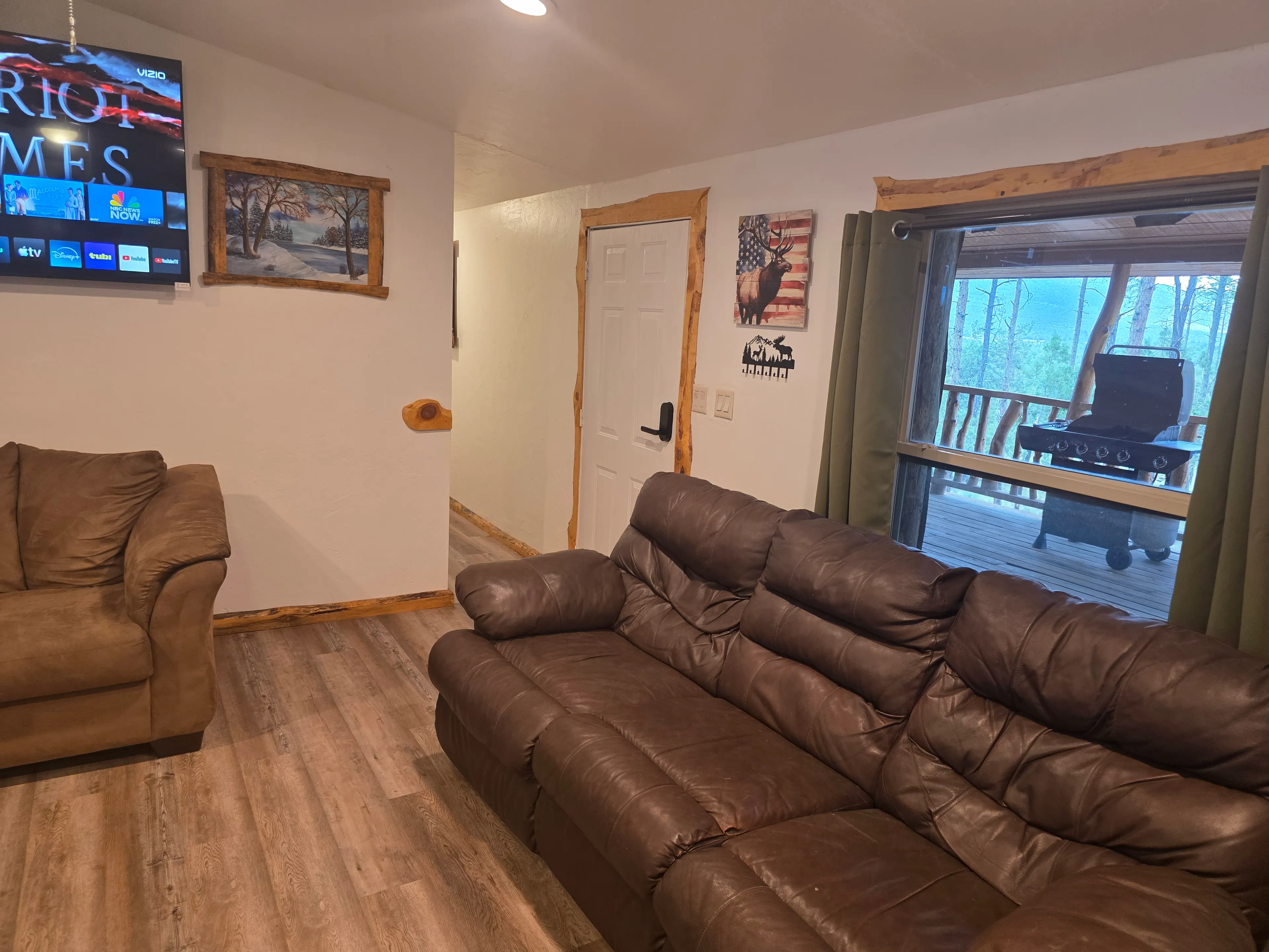living room leather sofa TV