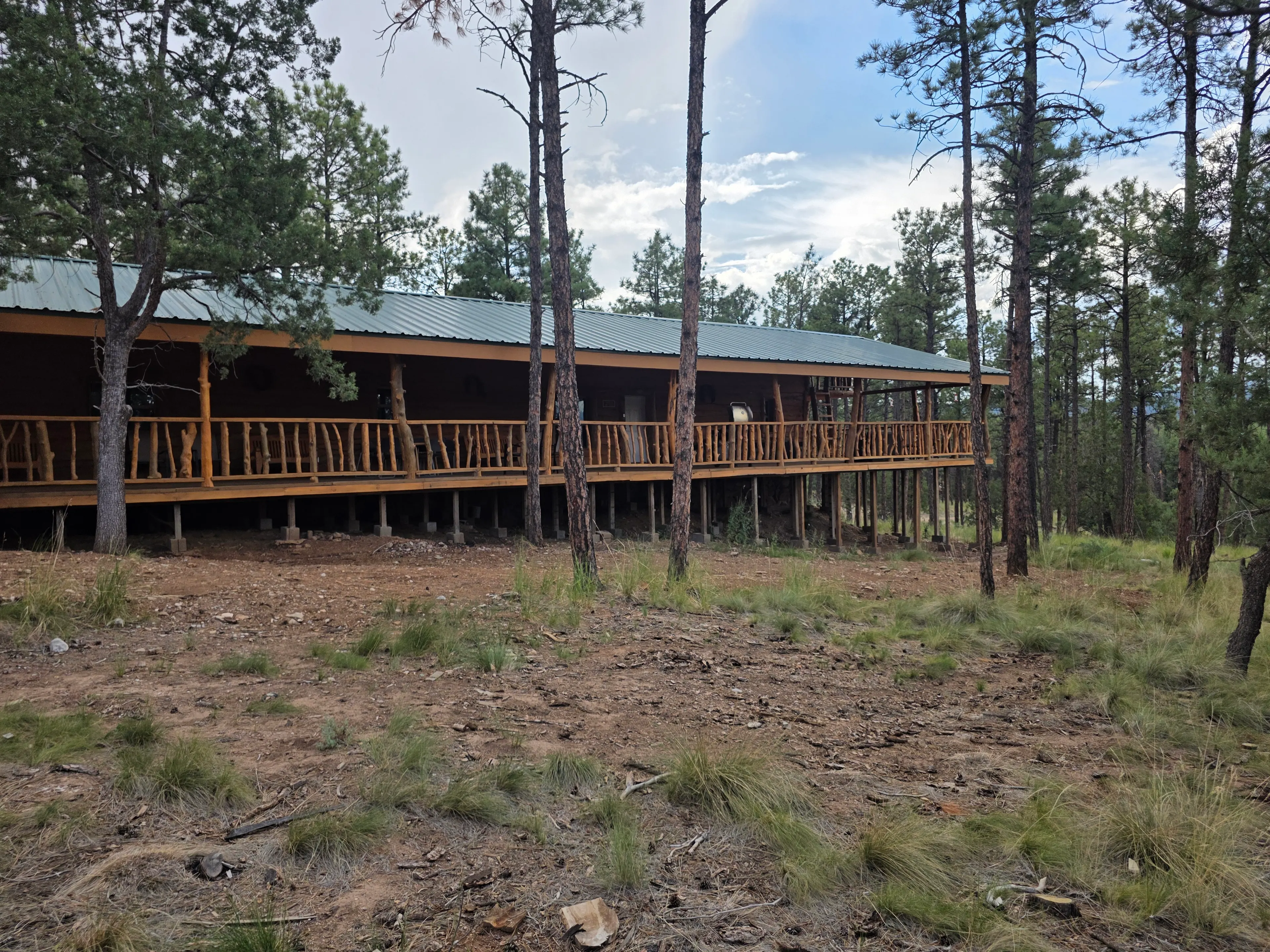long elevated cabin deck among pines