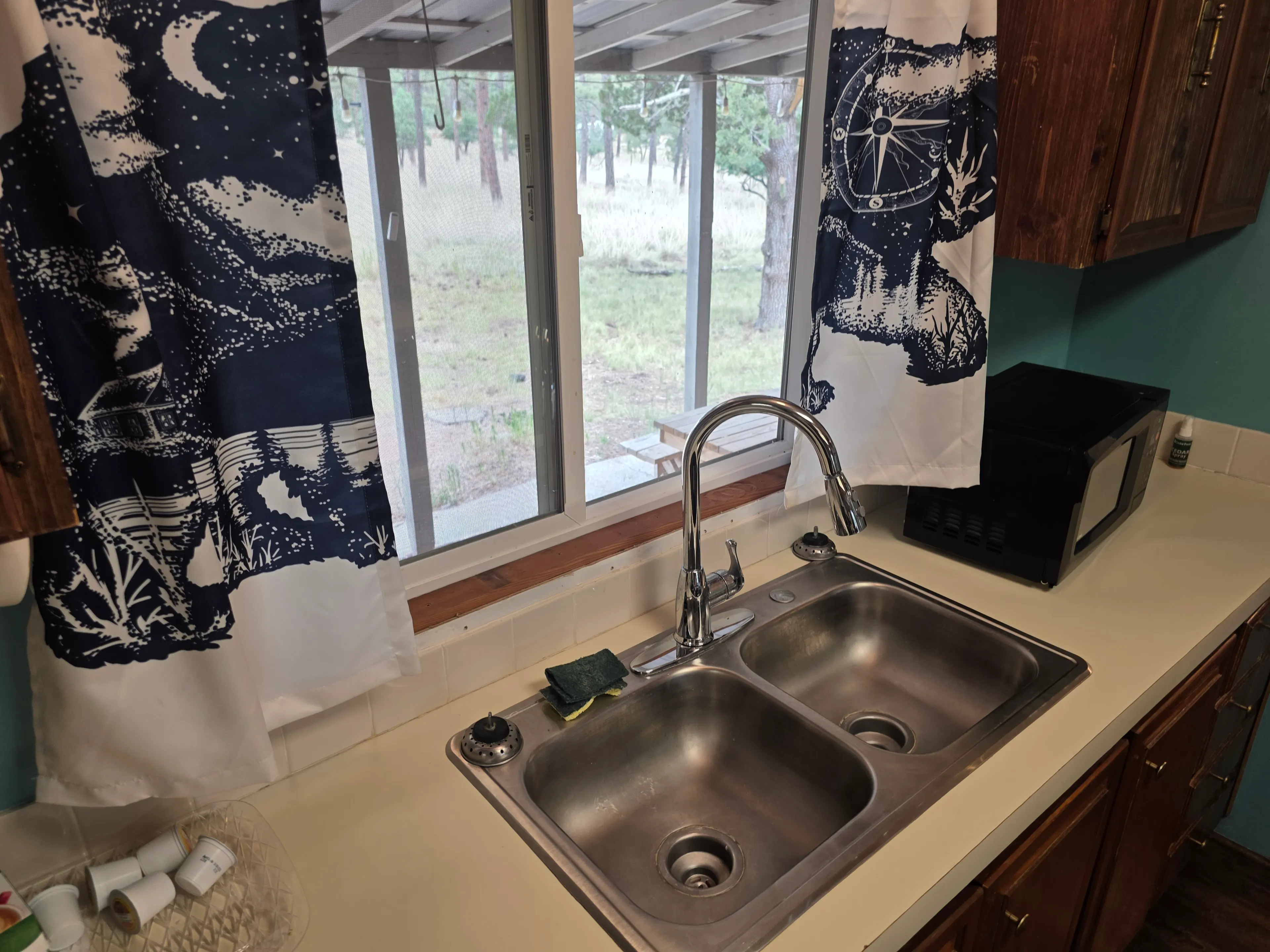 kitchen sink with forest window view